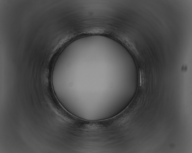 X0000091170300200708301201