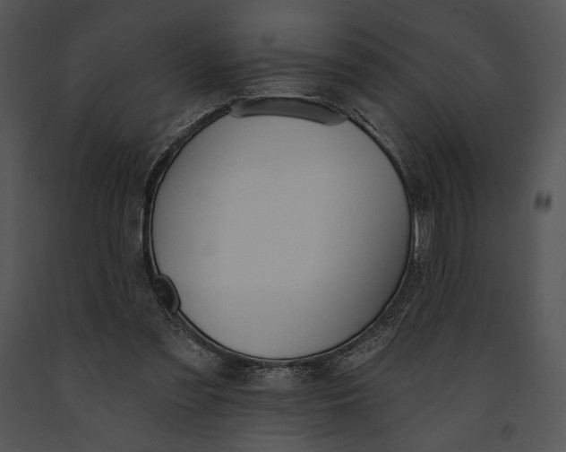 X0000091170301200708301201