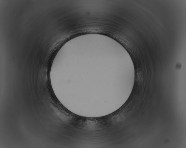 X0000091170302200708301201