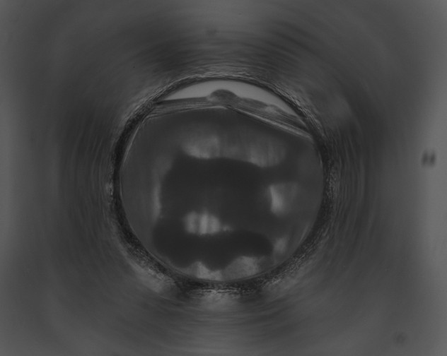 X0000091170303200708301201