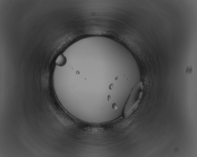 X0000091170304200708301201