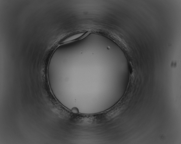 X0000091170306200708301201