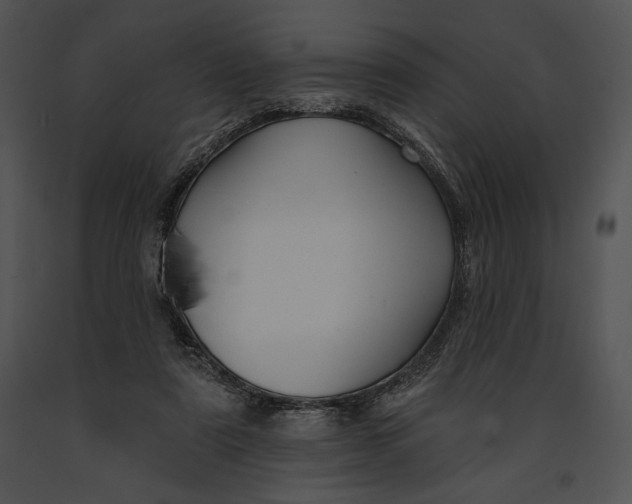 X0000091170307200708301201