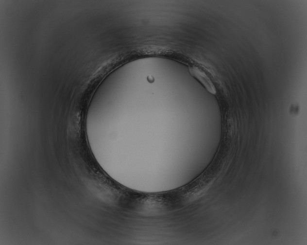 X0000091170308200708301201