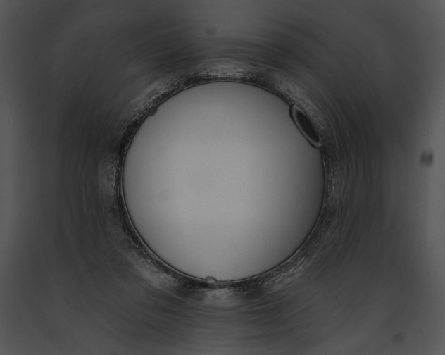 X0000091170309200708301201