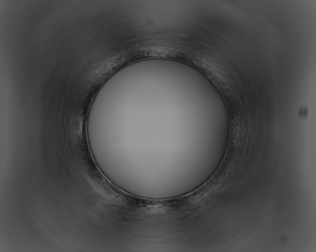 X0000091170310200708301201