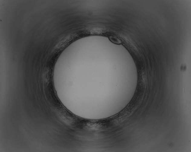 X0000091170311200708301201