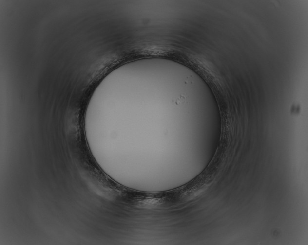 X0000091170312200708301201