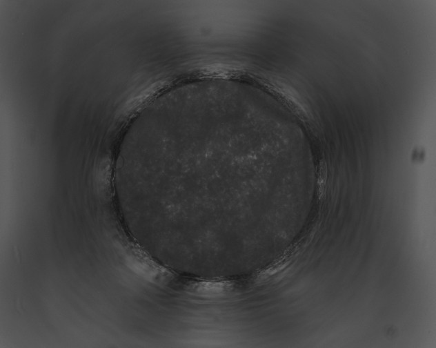 X0000091170314200708301201