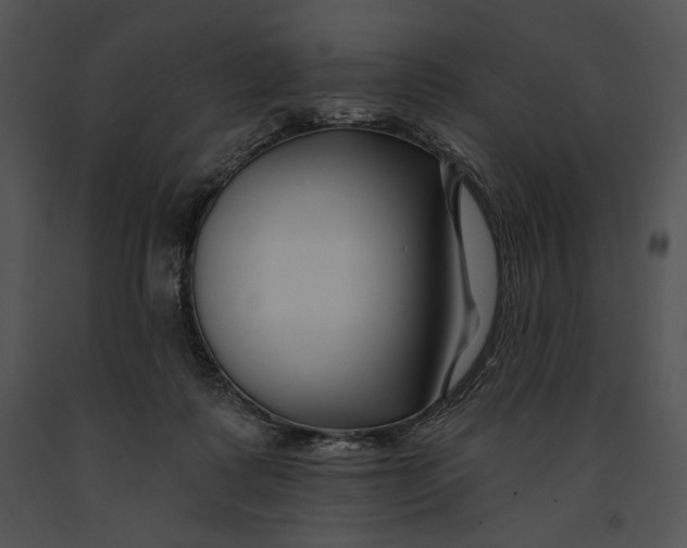 X0000091170315200708301201