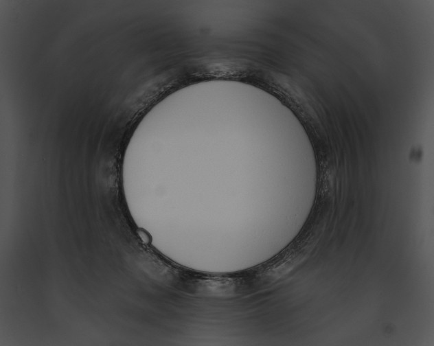 X0000091170317200708301201