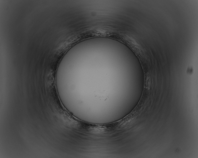 X0000091170318200708301201