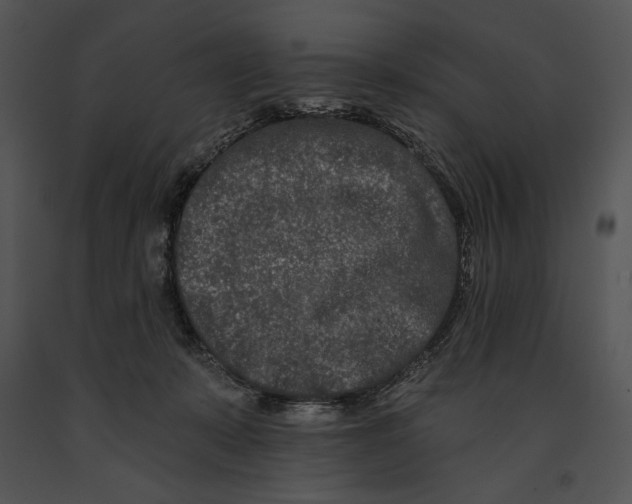 X0000091170319200708301201