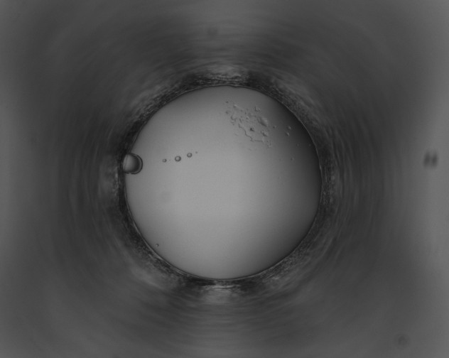 X0000091170320200708301200