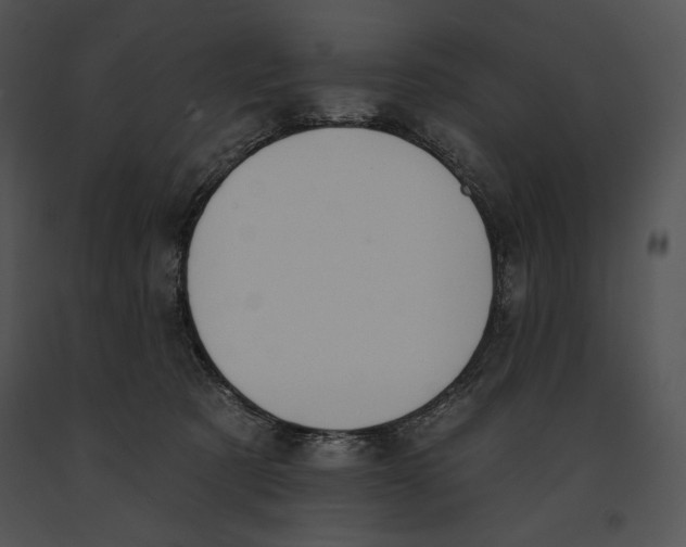 X0000091170321200708301200