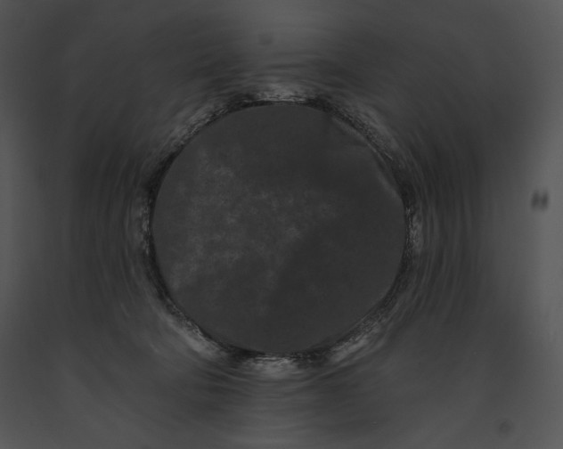 X0000091170322200708301200