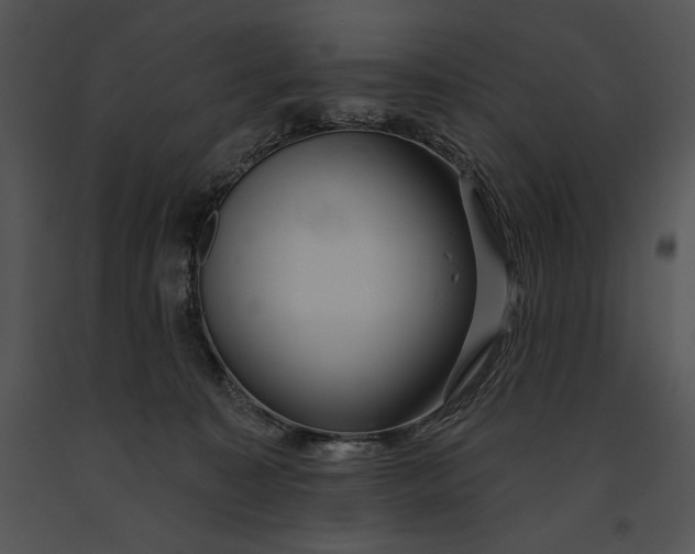 X0000091170323200708301200