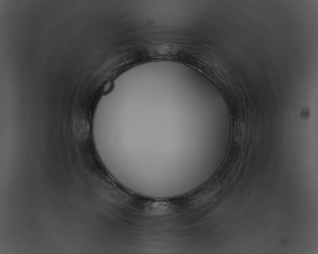 X0000091170324200708301200