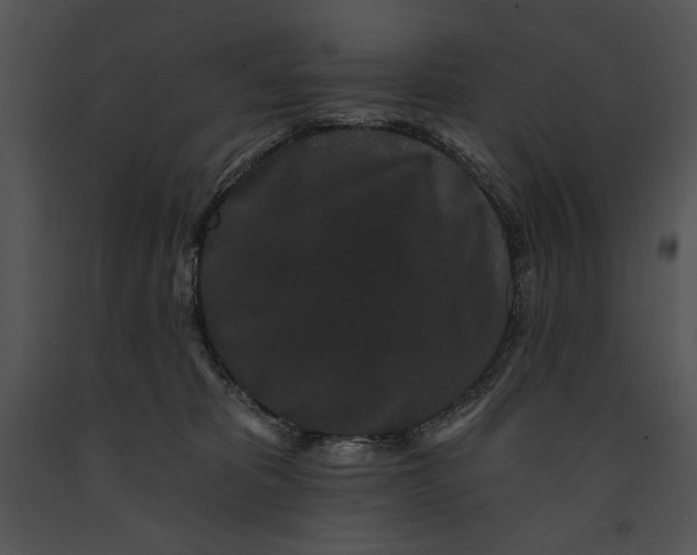 X0000091170325200708301200