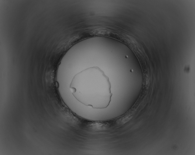 X0000091170326200708301200