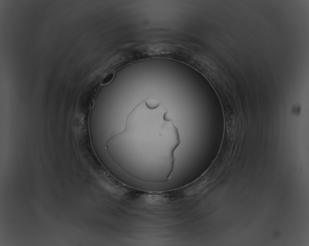 X0000091170327200708301200