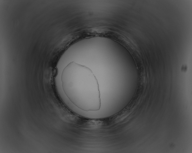 X0000091170328200708301200