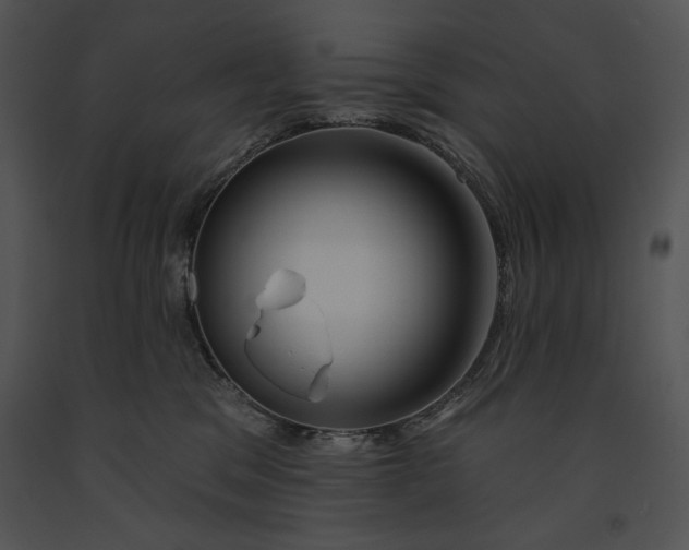 X0000091170329200708301200