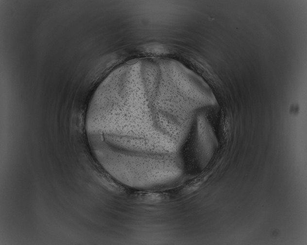 X0000091170330200708301200