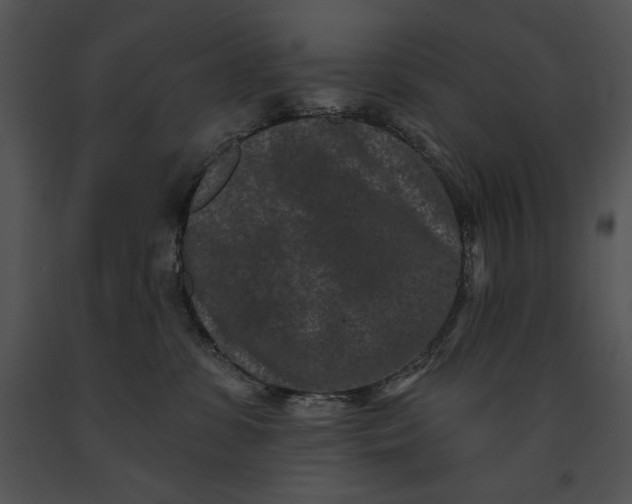 X0000091170331200708301200