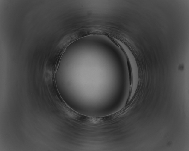 X0000091170333200708301200