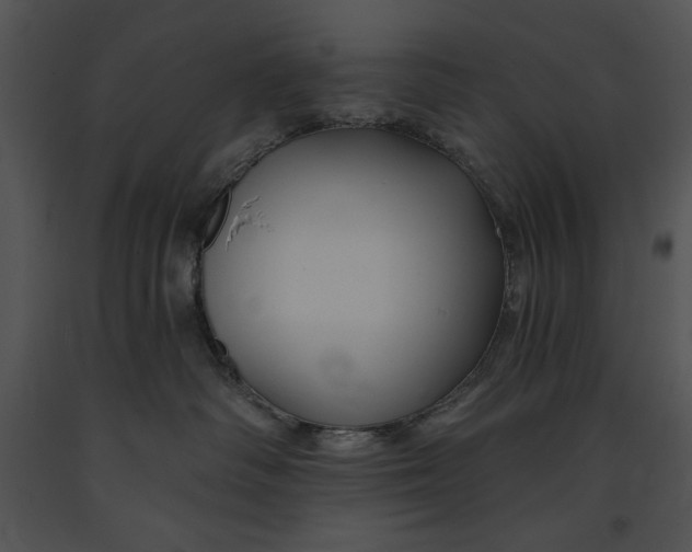 X0000091170334200708301200