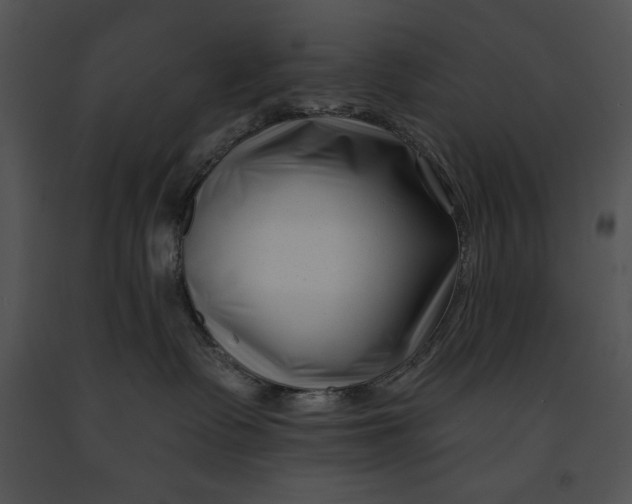 X0000091170335200708301200