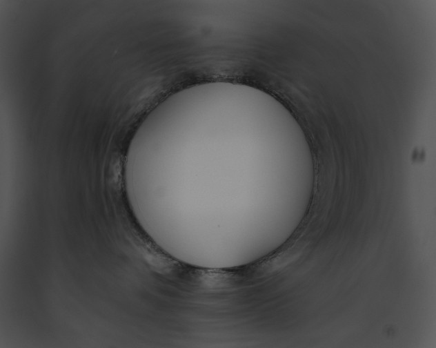 X0000091170336200708301200