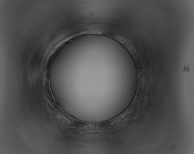 X0000091170338200708301200