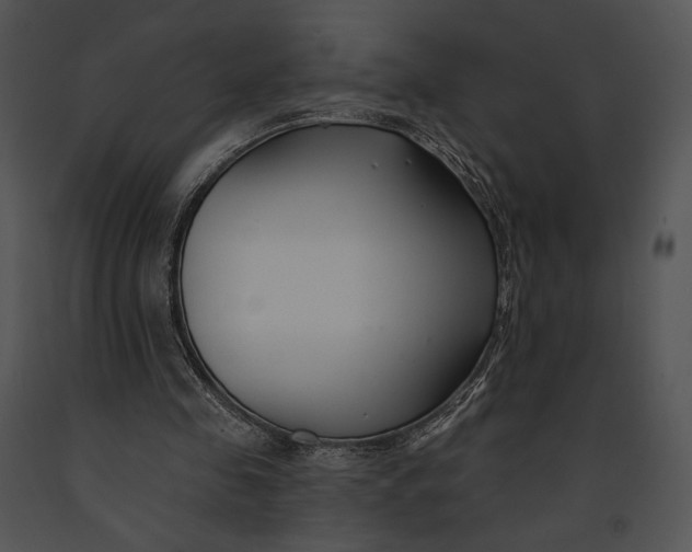 X0000091170341200708301200