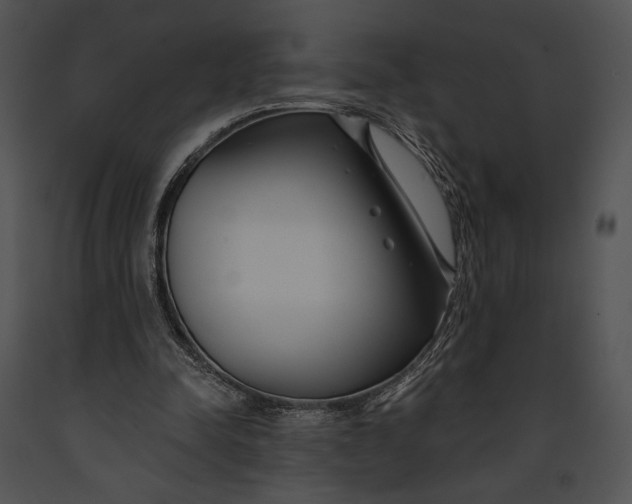 X0000091170342200708301200