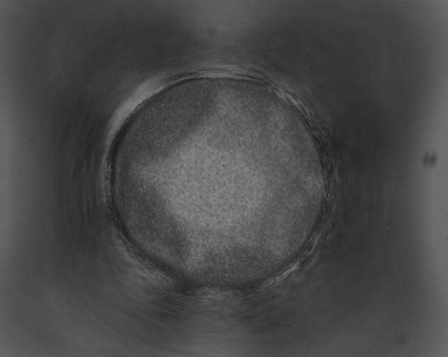 X0000091170343200708301200