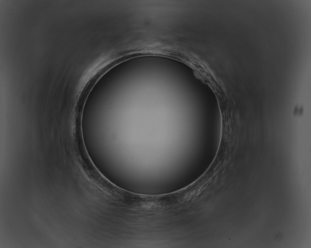 X0000091170344200708301200