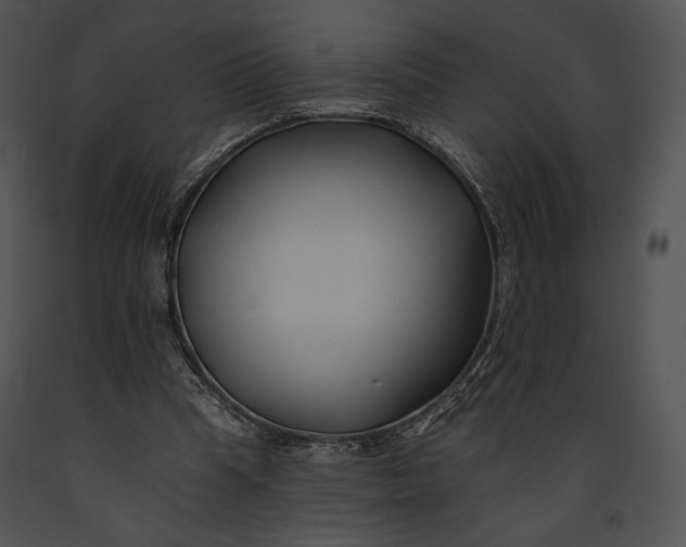 X0000091170345200708301200