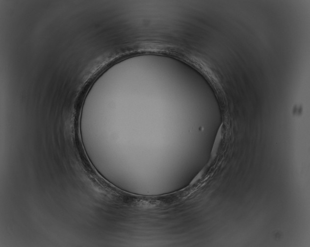 X0000091170346200708301200