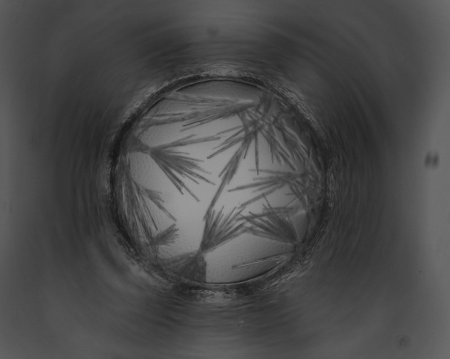 X0000091170347200708301200