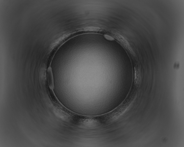 X0000091170348200708301200