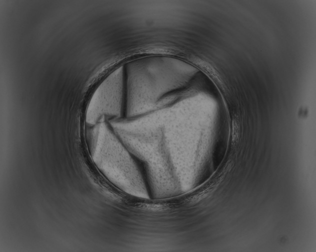 X0000091170349200708301200