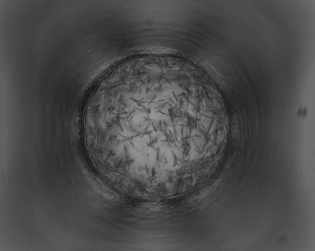 X0000091170351200708301200