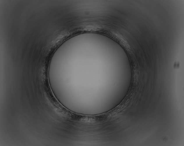 X0000091170354200708301200