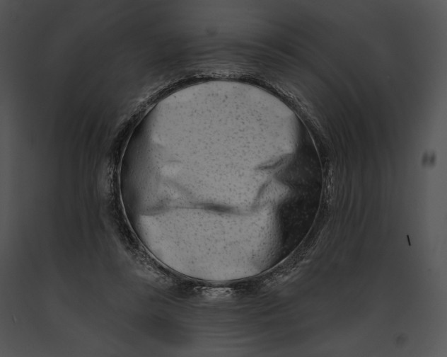 X0000091170355200708301200