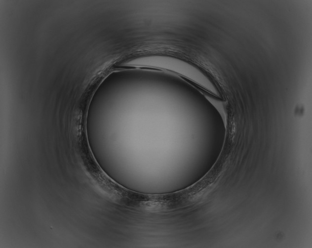 X0000091170356200708301200