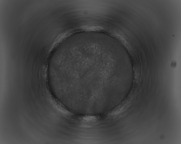 X0000091170357200708301200