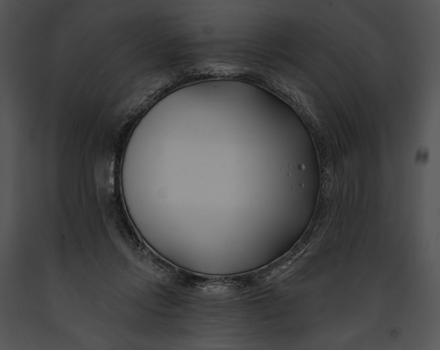 X0000091170358200708301200