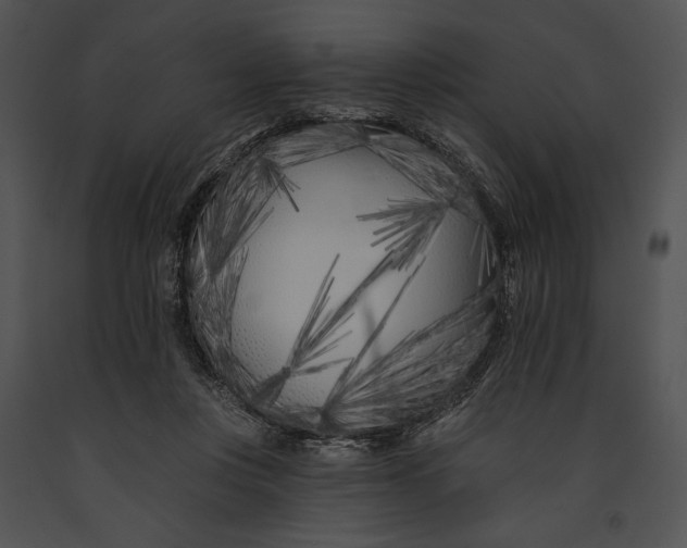 X0000091170359200708301200